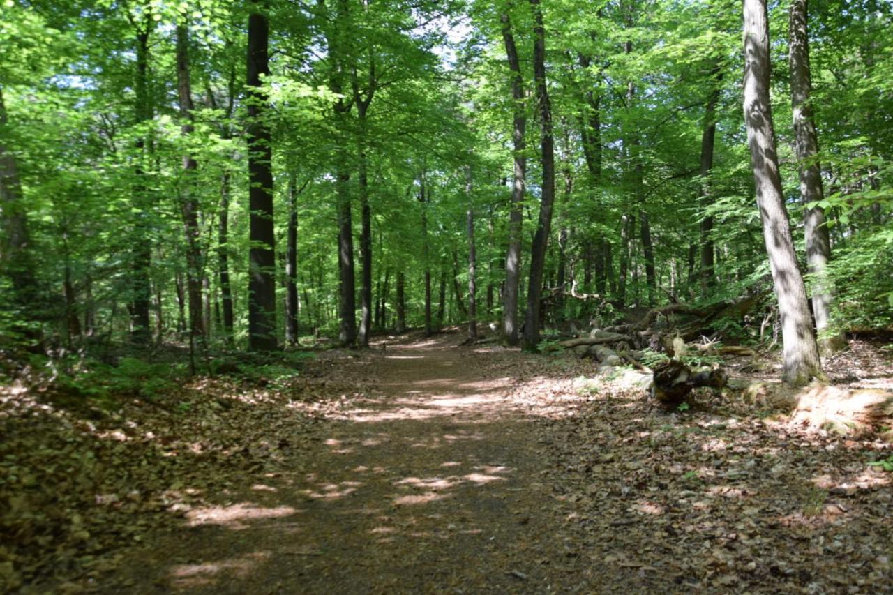 Holiday Inn 48 # Airco # Hygiene # Efteling # Hiking & Biking أويسترفايك المظهر الخارجي الصورة